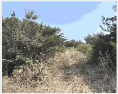  2025Ÿ1003    ޸ 1706-3      (Ӿ)