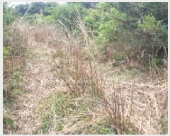  2025Ÿ1003    ޸ 1706-3      (Ӿ)