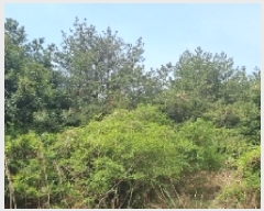  2025Ÿ1003    ޸ 1706-3      (Ӿ)