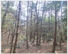  2025Ÿ1003    ޸ 1706-3      (Ӿ)