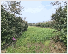  2025Ÿ��1093 ���� ���ֽ� ������ ��ȭ�� 2774-18      ����(��1)���