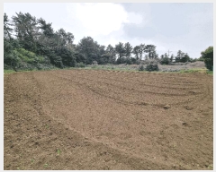  2025Ÿ��1093 ���� ���ֽ� ������ ��ȭ�� 2774-18      ����(��1)���