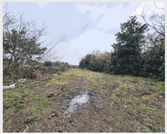  2025Ÿ��1093 ���� ���ֽ� ������ ��ȭ�� 2774-18      ����(��1)���