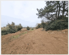  2025Ÿ��1093 ���� ���ֽ� ������ ��ȭ�� 2774-18      ����(��1)���