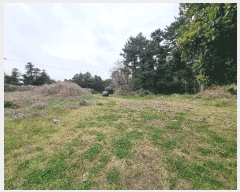  2025Ÿ��1093 ���� ���ֽ� ������ ��ȭ�� 2774-18      ����(��1)���