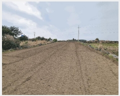  2025Ÿ��1093 ���� ���ֽ� ������ ��ȭ�� 2774-18      ����(��1)���