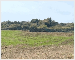  2025Ÿ��1112 ���� �������� ǥ���� ��õ�� 2318      ����(�Ӿ�)���