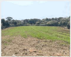  2025Ÿ��1112 ���� �������� ǥ���� ��õ�� 2318      ����(�Ӿ�)���