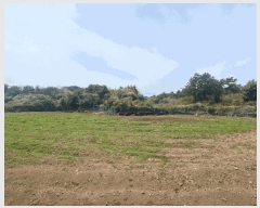  2025Ÿ��1112 ���� �������� ǥ���� ��õ�� 2318      ����(�Ӿ�)���