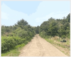  2025Ÿ��1112 ���� �������� ǥ���� ��õ�� 2318      ����(�Ӿ�)���