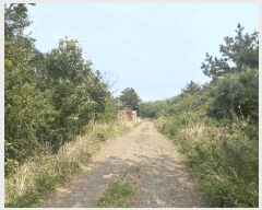  2025Ÿ��1112 ���� �������� ǥ���� ��õ�� 2318      ����(�Ӿ�)���