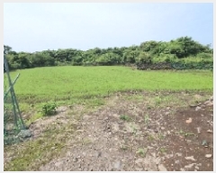  2025Ÿ��1112 ���� �������� ǥ���� ��õ�� 2318      ����(�Ӿ�)���