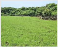  2025Ÿ��1112 ���� �������� ǥ���� ��õ�� 2318      ����(�Ӿ�)���