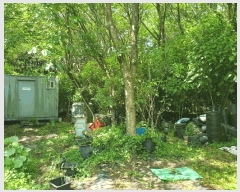  2025Ÿ��1124 ���� ���ֽ� �ƶ��̵� 278       ����(�Ӿ�)���