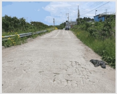  2025Ÿ��1124 ���� ���ֽ� �ƶ��̵� 934-5       ��������