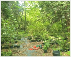  2025Ÿ��1124 ���� ���ֽ� �ƶ��̵� 278       ����(�Ӿ�)���