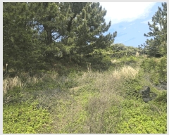  2025Ÿ��1141 ���� ���ֽ� �Ѱ�� ��â�� 1344      ����(��1)���