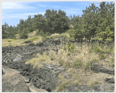  2025Ÿ��1141 ���� ���ֽ� �Ѱ�� ��â�� 1344      ����(��1)���