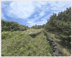  2025Ÿ��1141 ���� ���ֽ� �Ѱ�� ��â�� 1344      ����(��1)���