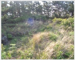  2025Ÿ��1141 ���� ���ֽ� �Ѱ�� ��â�� 1344      ����(��1)���