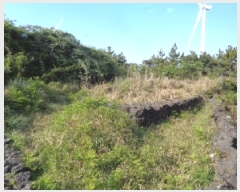  2025Ÿ��1141 ���� ���ֽ� �Ѱ�� ��â�� 1344      ����(��1)���