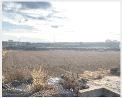  2025Ÿ��1157  �����