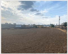  2025Ÿ��1157  �����