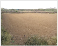  2025Ÿ��1157  �����