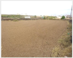  2025Ÿ��1157  �����