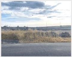  2025Ÿ��1157  �����