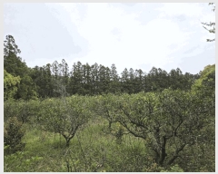  2025Ÿ��1165  ���������