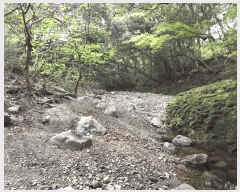  2025Ÿ��1165  ���������