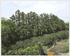  2025Ÿ��1165  ���������