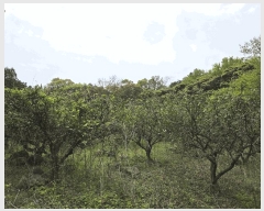  2025Ÿ��1165  ���������