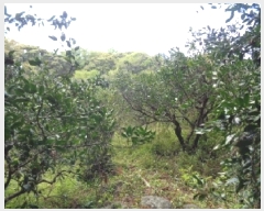  2025Ÿ��1165  ���������