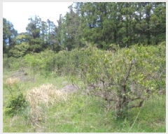  2025Ÿ��1165  ���������