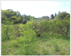  2025Ÿ��1165  ���������