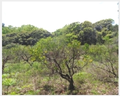  2025Ÿ��1165  ���������