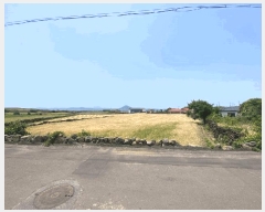  2025Ÿ��1207 ���� ���ֽ� �쵵�� ���� 1840-2      ����(��1)���