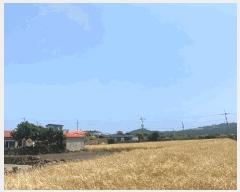  2025Ÿ��1207 ���� ���ֽ� �쵵�� ���� 1840-2      ����(��1)���