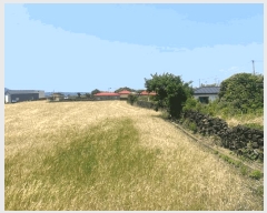  2025Ÿ��1207 ���� ���ֽ� �쵵�� ���� 1840-2      ����(��1)���