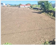  2025Ÿ��1207 ���� ���ֽ� �쵵�� ���� 1840-2      ����(��1)���