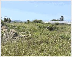  2025Ÿ��1217 ���� ���ֽ� �ֿ��� ������ 114-1      ����(������)���