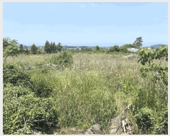  2025Ÿ��1217 ���� ���ֽ� �ֿ��� ������ 114-1      ����(������)���