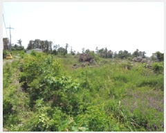  2025Ÿ��1217 ���� ���ֽ� �ֿ��� ������ 114-1      ����(������)���