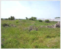  2025Ÿ��1217 ���� ���ֽ� �ֿ��� ������ 114-1      ����(������)���