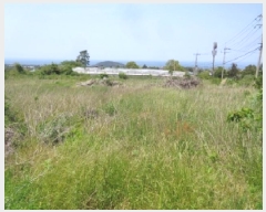  2025Ÿ��1217 ���� ���ֽ� �ֿ��� ������ 114-1      ����(������)���