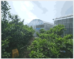  2025Ÿ��1222 ���� �������� ���� 596-2       ����(��1)���