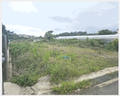  2025Ÿ��1222 ���� �������� ���� 596-2       ����(��1)���