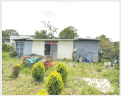  2025Ÿ��1234  �����